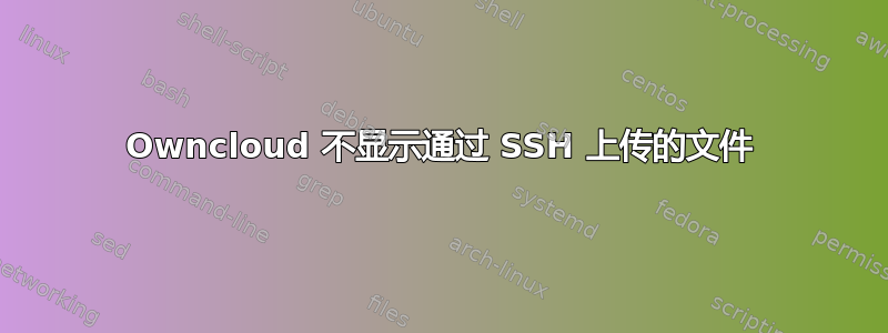 Owncloud 不显示通过 SSH 上传的文件