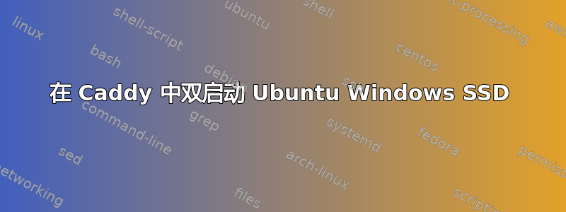 在 Caddy 中双启动 Ubuntu Windows SSD