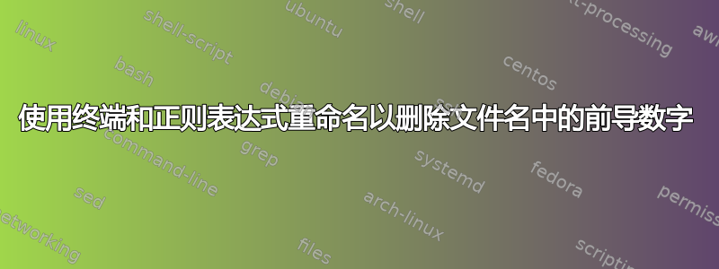 使用终端和正则表达式重命名以删除文件名中的前导数字