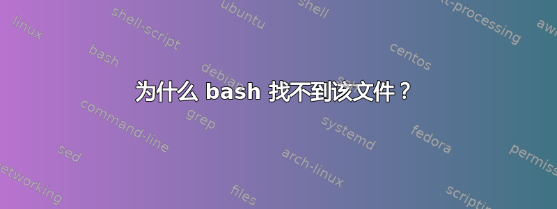 为什么 bash 找不到该文件？