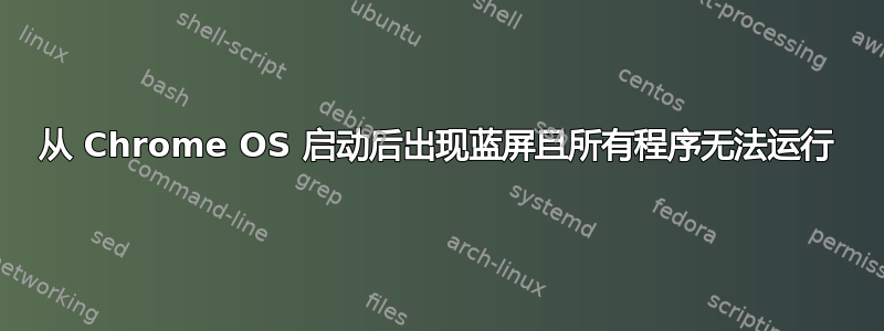 从 Chrome OS 启动后出现蓝屏且所有程序无法运行