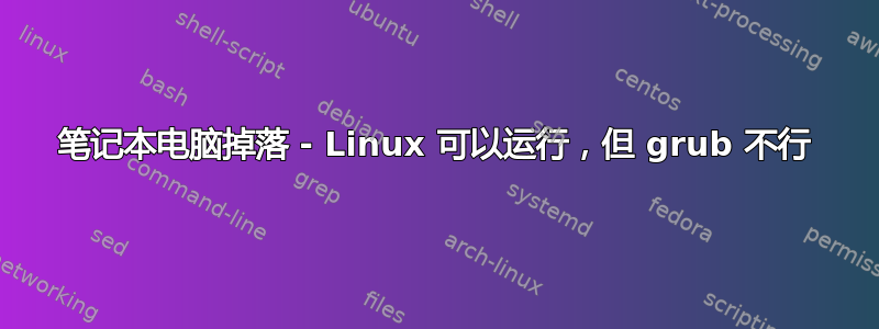 笔记本电脑掉落 - Linux 可以运行，但 grub 不行