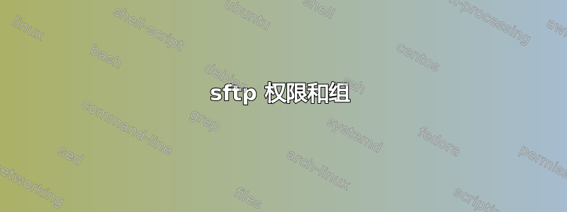 sftp 权限和组