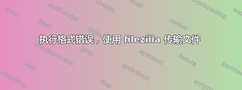 执行格式错误，使用 filezilla 传输文件