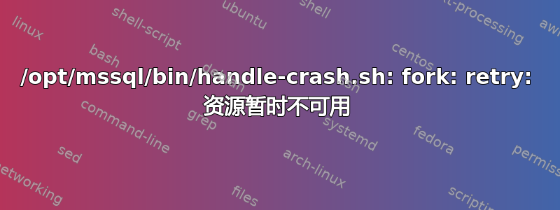 /opt/mssql/bin/handle-crash.sh: fork: retry: 资源暂时不可用