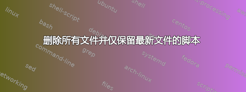 删除所有文件并仅保留最新文件的脚本