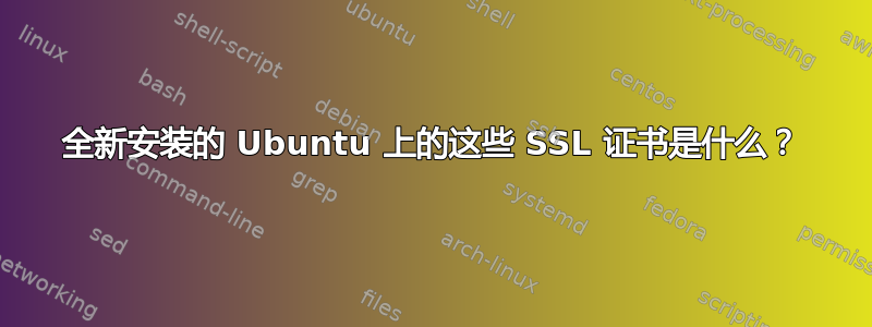 全新安装的 Ubuntu 上的这些 SSL 证书是什么？