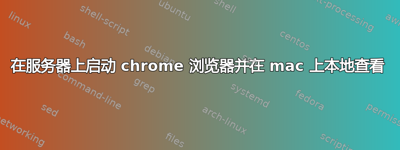 在服务器上启动 chrome 浏览器并在 mac 上本地查看