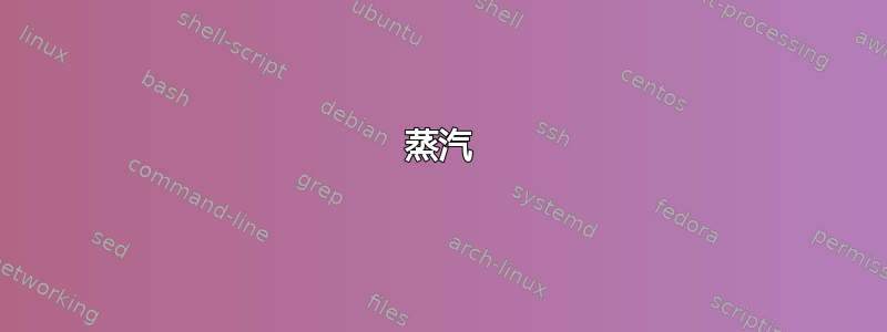 蒸汽