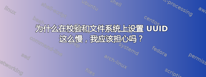 为什么在校验和文件系统上设置 UUID 这么慢，我应该担心吗？