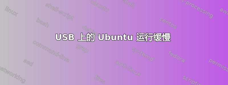 USB 上的 Ubuntu 运行缓慢