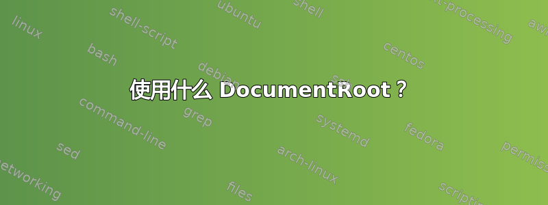 使用什么 DocumentRoot？