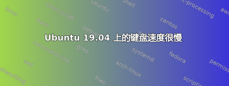 Ubuntu 19.04 上的键盘速度很慢