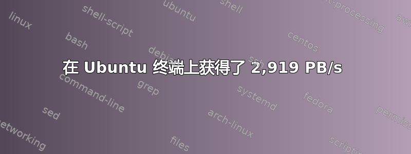 在 Ubuntu 终端上获得了 2,919 PB/s