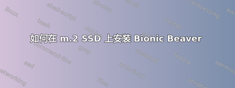 如何在 m.2 SSD 上安装 Bionic Beaver