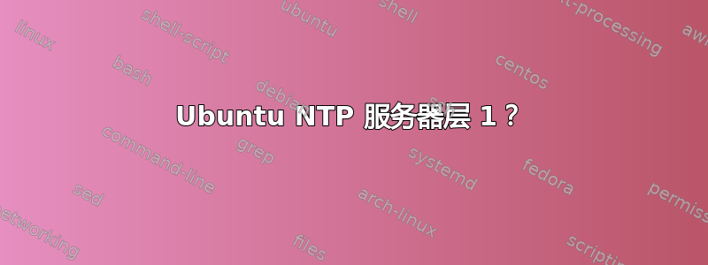 Ubuntu NTP 服务器层 1？