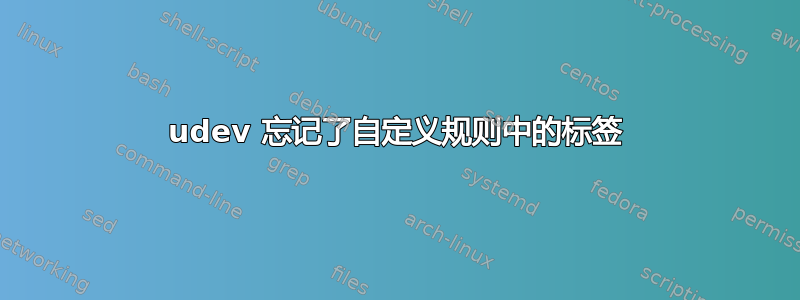 udev 忘记了自定义规则中的标签