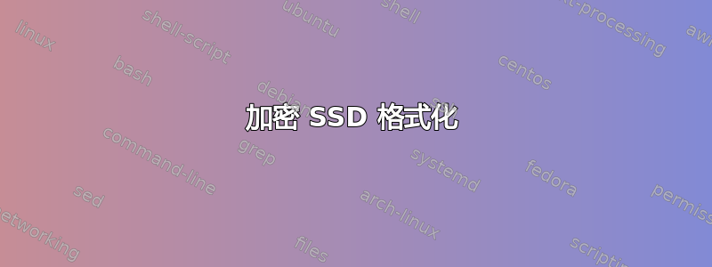 加密 SSD 格式化