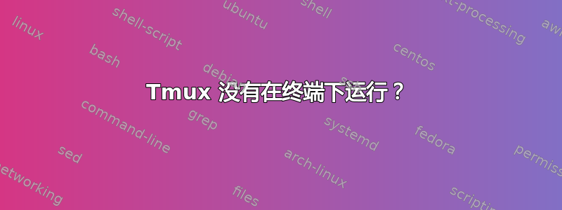 Tmux 没有在终端下运行？