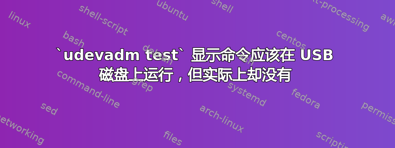 `udevadm test` 显示命令应该在 USB 磁盘上运行，但实际上却没有