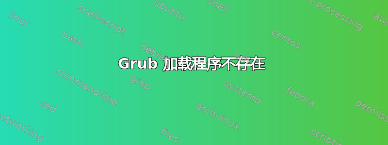 Grub 加载程序不存在