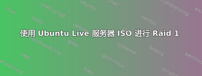 使用 Ubuntu Live 服务器 ISO 进行 Raid 1