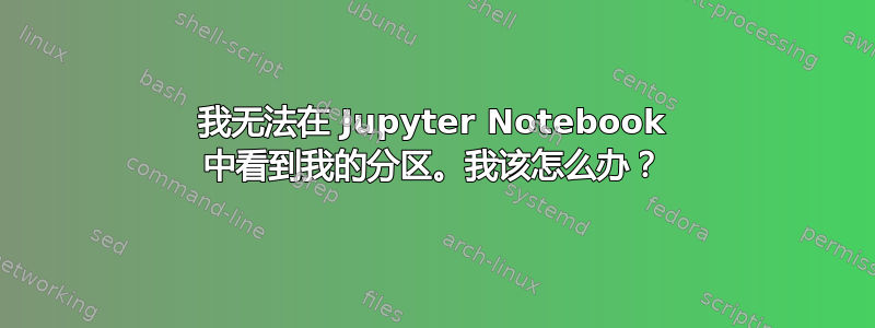 我无法在 Jupyter Notebook 中看到我的分区。我该怎么办？