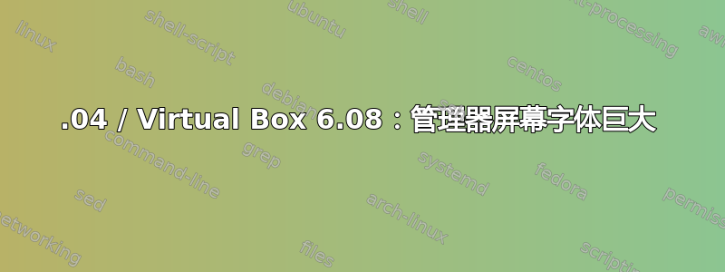 19.04 / Virtual Box 6.08：管理器屏幕字体巨大