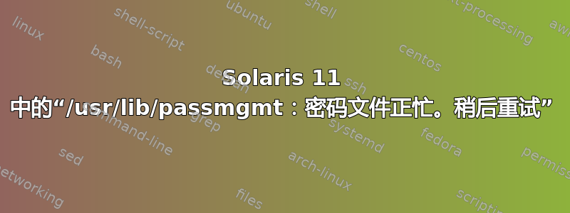 Solaris 11 中的“/usr/lib/passmgmt：密码文件正忙。稍后重试”