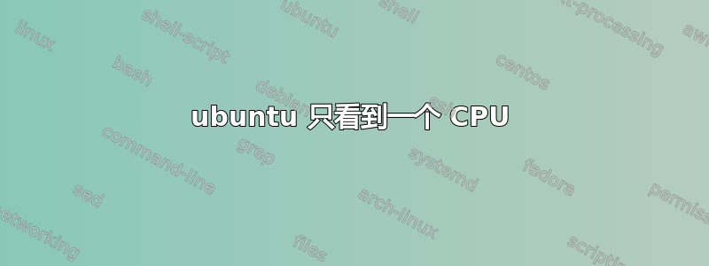 ubuntu 只看到一个 CPU