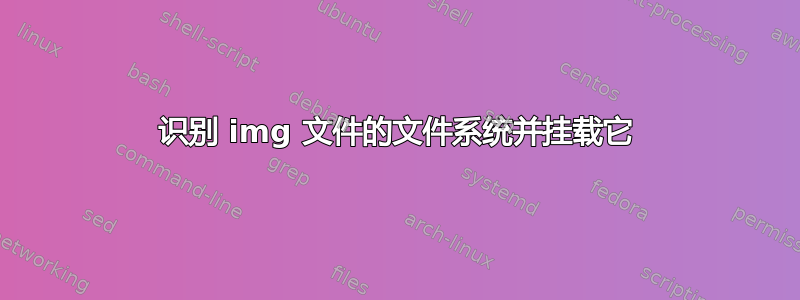 识别 img 文件的文件系统并挂载它