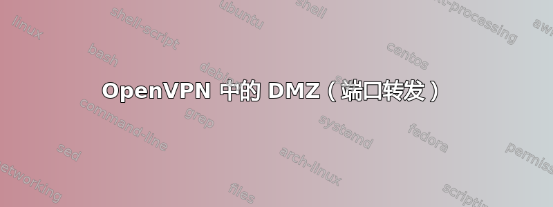 OpenVPN 中的 DMZ（端口转发）