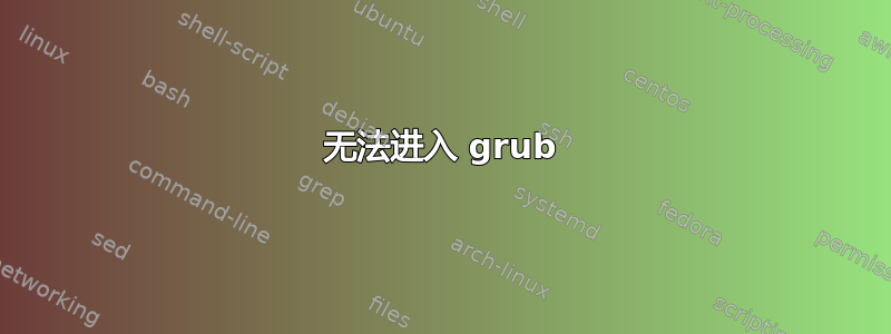 无法进入 grub