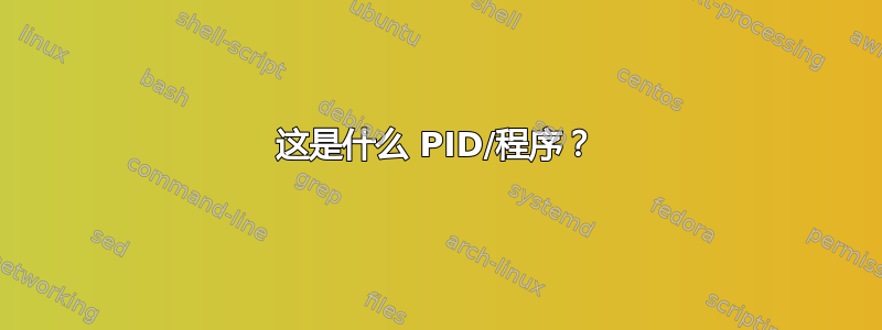 这是什么 PID/程序？