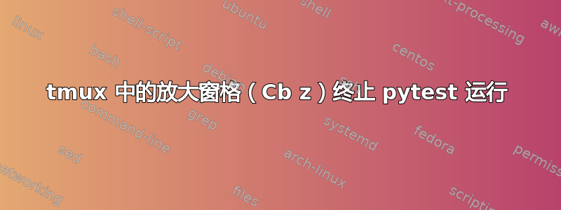 tmux 中的放大窗格（Cb z）终止 pytest 运行