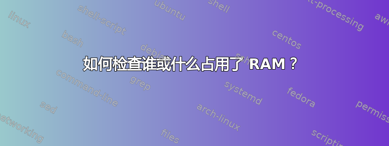 如何检查谁或什么占用了 RAM？