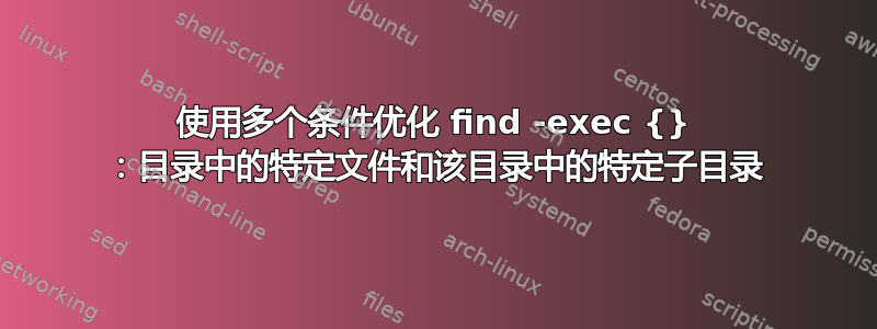 使用多个条件优化 find -exec {} ：目录中的特定文件和该目录中的特定子目录