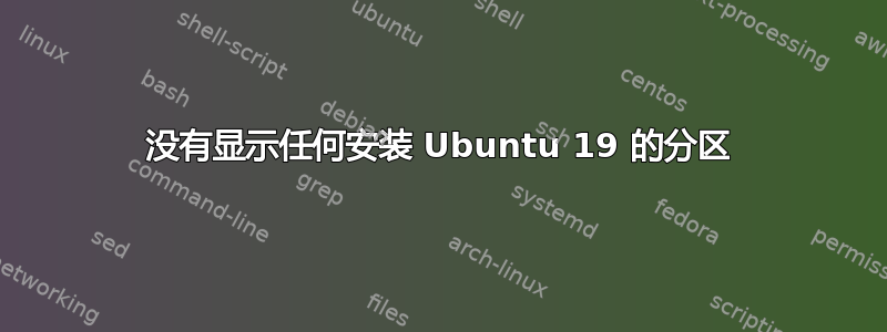 没有显示任何安装 Ubuntu 19 的分区