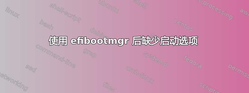 使用 efibootmgr 后缺少启动选项