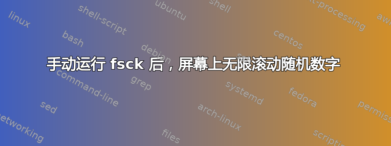 手动运行 fsck 后，屏幕上无限滚动随机数字