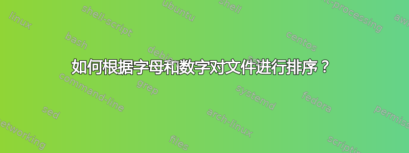 如何根据字母和数字对文件进行排序？