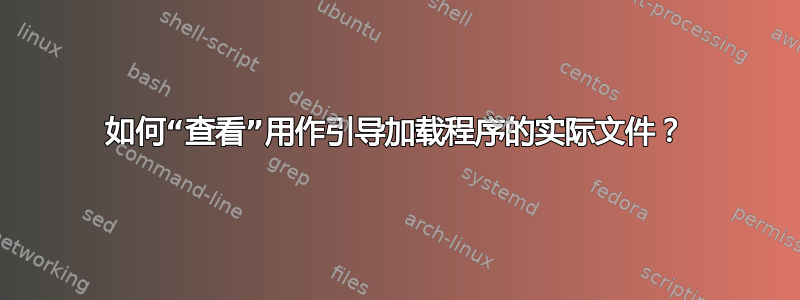 如何“查看”用作引导加载程序的实际文件？