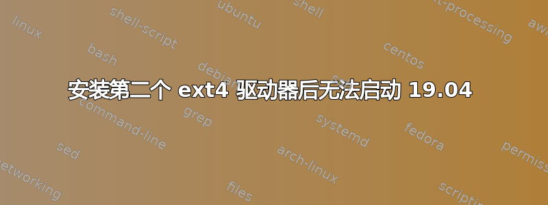 安装第二个 ext4 驱动器后无法启动 19.04