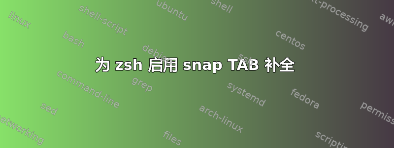 为 zsh 启用 snap TAB 补全