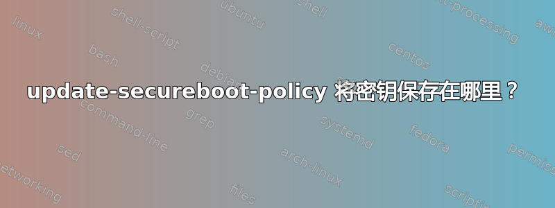 update-secureboot-policy 将密钥保存在哪里？