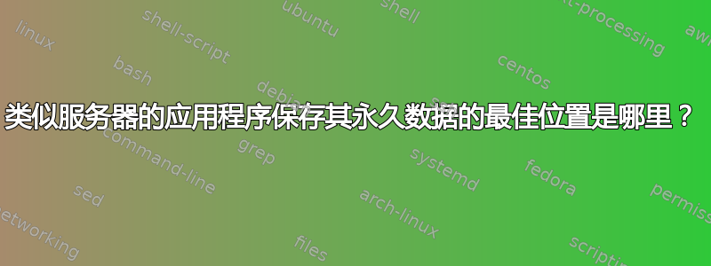 类似服务器的应用程序保存其永久数据的最佳位置是哪里？