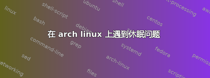 在 arch linux 上遇到休眠问题