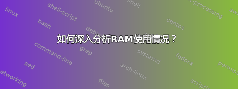 如何深入分析RAM使用情况？