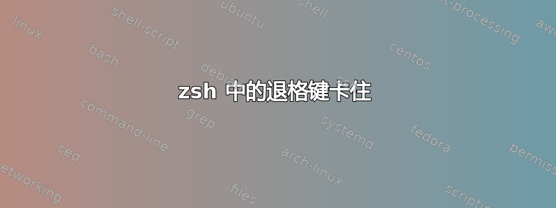 zsh 中的退格键卡住