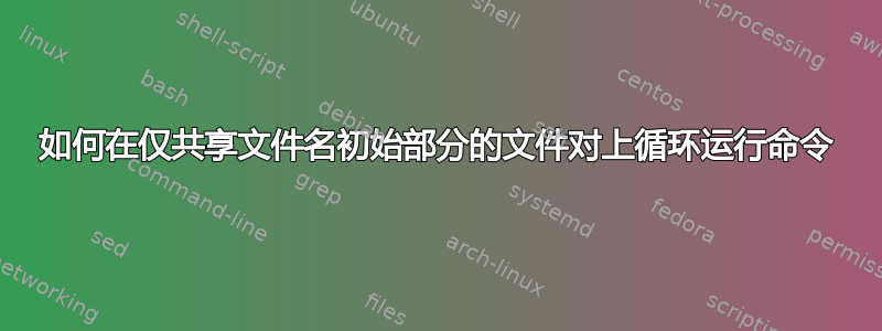 如何在仅共享文件名初始部分的文件对上循环运行命令